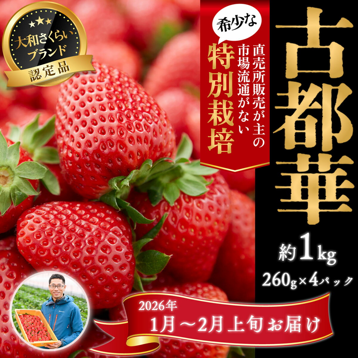 【ふるさと納税】＜1月～2月発送＞減農薬いちご「古都華」4パック 特別栽培農産物／奈良県 苺 先行予約 ジャム 数量限定 期間限定 ブランド 大福 人気 減農薬 特別栽培 Odamaki農園