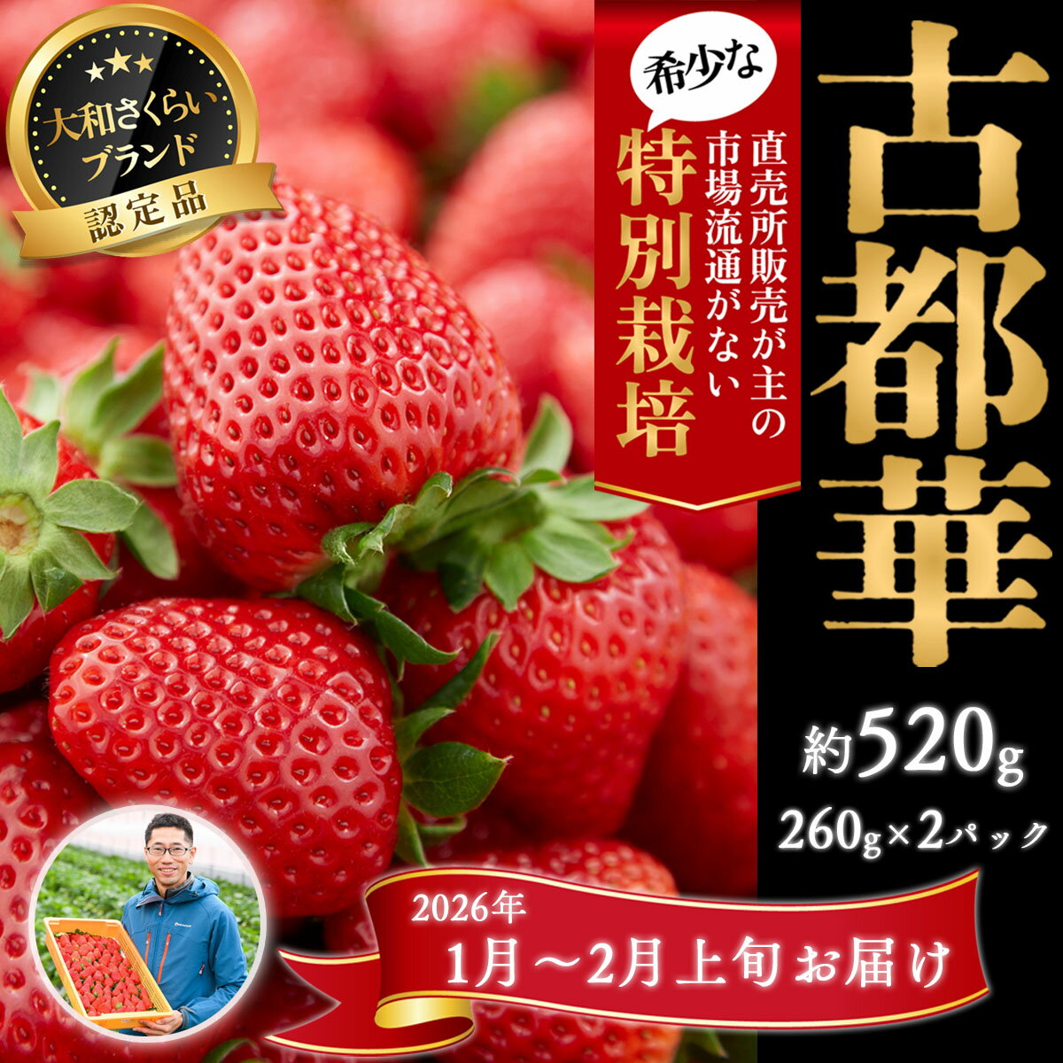 【ふるさと納税】＜1月～2月上旬発送＞減農薬いちご「古都華」2パック 特別栽培農産物／奈良県 苺 先行予約 ジャム 数量限定 期間限定 ブランド 大福 人気 減農薬 特別栽培 Odamaki農園 M-BA14