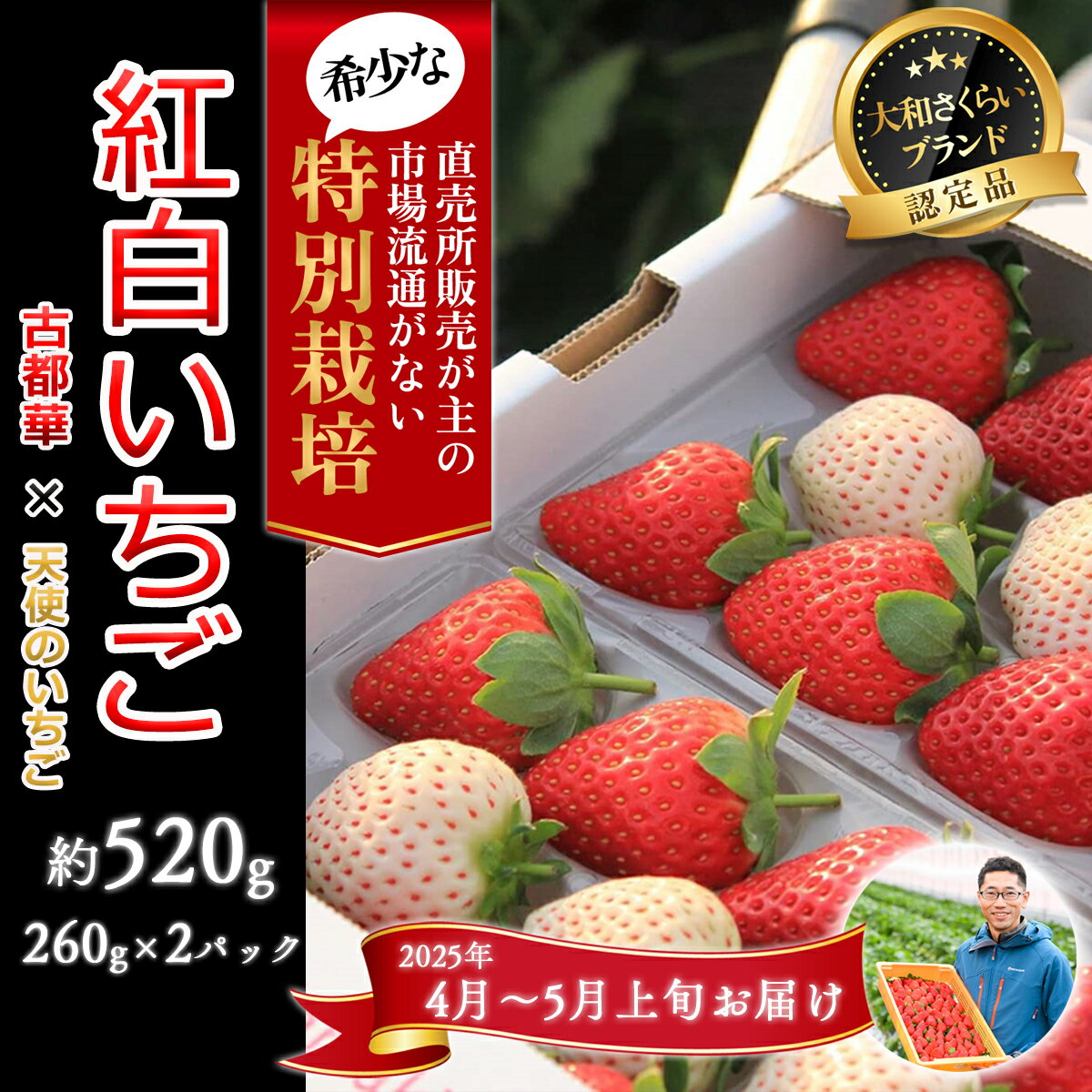 【ふるさと納税】＜4月～5月上旬発送＞紅白いちご「古都華＆白いちご」2パック 特別栽培農産物／奈良県 苺 先行予約 ジャム 減農薬 食べ比べ Odamaki農園のサムネイル