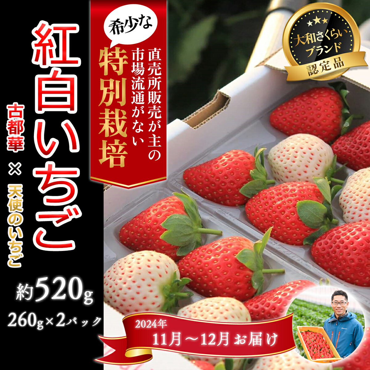 【ふるさと納税】＜11月～12月発送＞紅白いちご「古都華＆白いちご」2パック 特別栽培農産物／奈良県 苺 先行予約 ジャム 減農薬 食べ比べ Odamaki農園 M-BG10のサムネイル