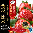 18位! 口コミ数「0件」評価「0」＜5月～6月上旬発送＞減農薬いちご 食べ比べ2パック 品種おまかせ／奈良県 苺 先行予約 ケーキ イチゴ 数量限定 期間限定 人気 新品種 ･･･ 