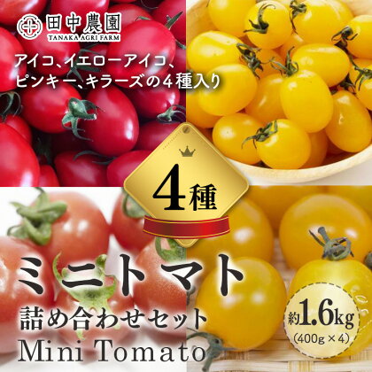 ミニトマト約 400gx4 計約1.6kg トマト とまと 野菜 奈良県 五條市