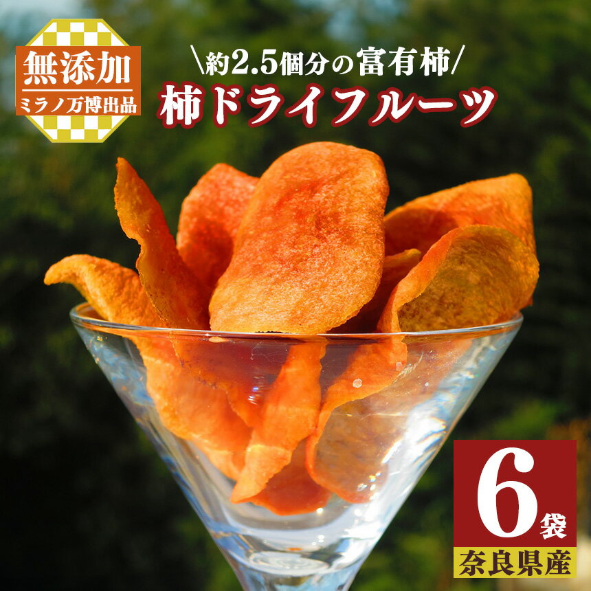 【ふるさと納税】柿ドライフルーツ （40g×6袋 ）| フル