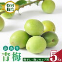【堀内果実園】特別栽培・青梅・訳あり・B 品(5kg)|果実 かじつ カジツ 青梅 あおうめ アオウメ 梅干し うめぼし 奈良県 五條市 健康