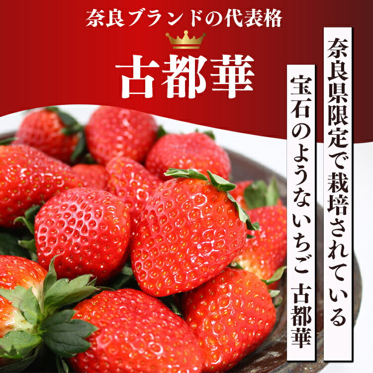 【ふるさと納税】【定期便2回お届け】古都華と旬のいちごつめあわせ（大粒）2L～3L 10~12粒 約1200g