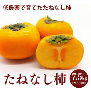 【ふるさと納税】たねなし柿 7.5kg箱（26～30個入）奈良県 五條市 | 果物 フルーツ 柿 たねなし