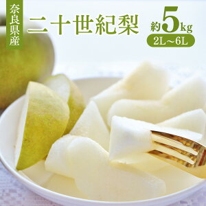 【ふるさと納税】奈良の 二十世紀梨 ( 約5kg ) | フルーツ くだもの 果物 なし ナシ 梨 奈良県 五條市 二十世紀 20世紀