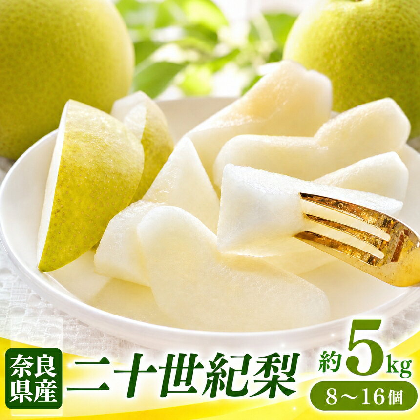 奈良の 二十世紀梨 （ 約5kg ） | フルーツ くだもの 果物 なし ナシ 梨 奈良県 五條市 二十世紀 20世紀