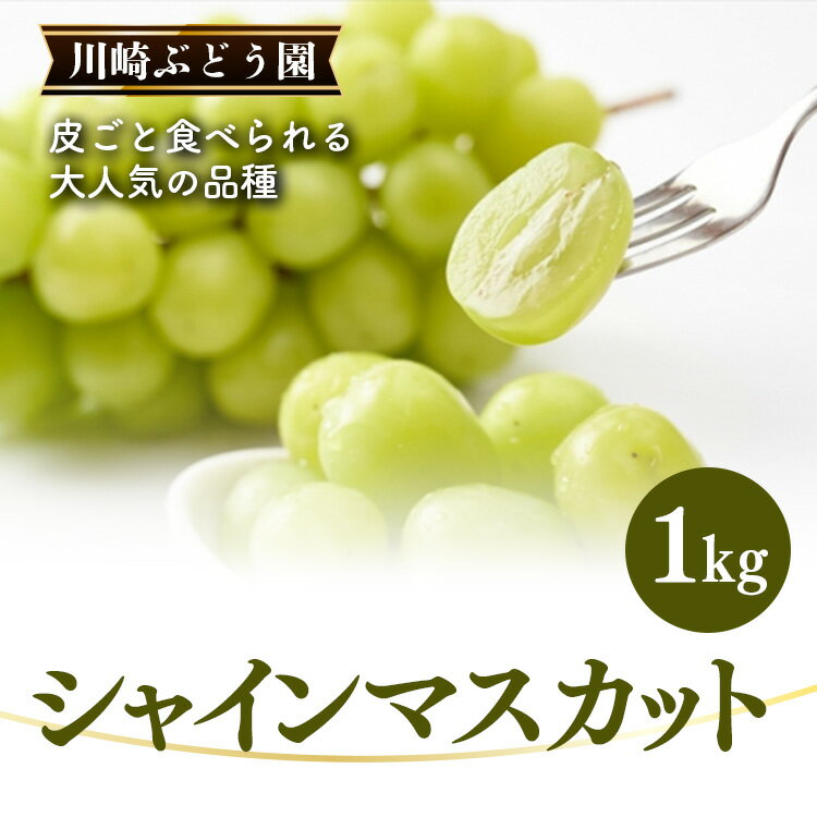 シャインマスカット ( 1kg ) | 果物 くだもの フルーツ シャイン マスカット ぶどう 葡萄 ブドウ 奈良県 五條市