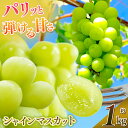 【ふるさと納税】 シャインマスカット ( 1kg ) | 果物 くだもの フルーツ シャイン マスカット ぶどう 葡萄 ブドウ 奈良県 五條市