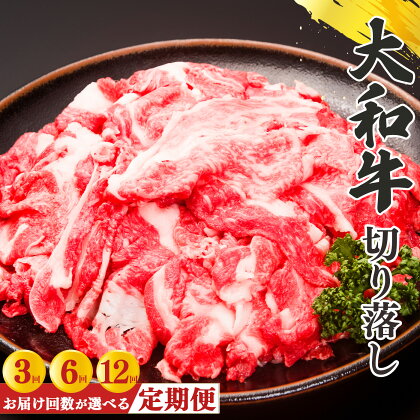 【定期便】奈良県産黒毛和牛 大和牛 切り落し 500g （250g×2） 肉 牛肉 奈良県 五條市 大和牛