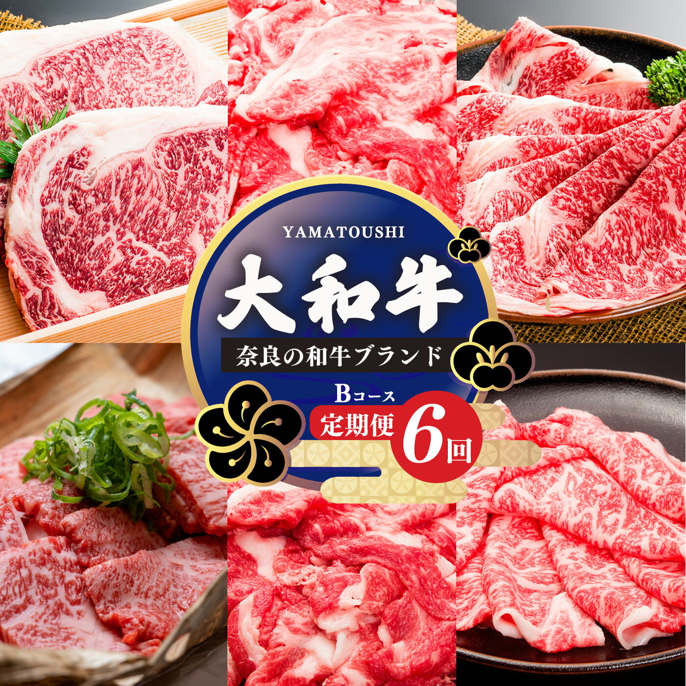 3位! 口コミ数「0件」評価「0」【定期便6回】大和牛 お肉の定期便 B 肉 牛肉 奈良県 五條市