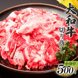 【ふるさと納税】奈良県産 黒毛 和牛 「 大和牛 」切り落し （ 250g x 2 ）計 500g 肉 牛肉 奈良県 五條市