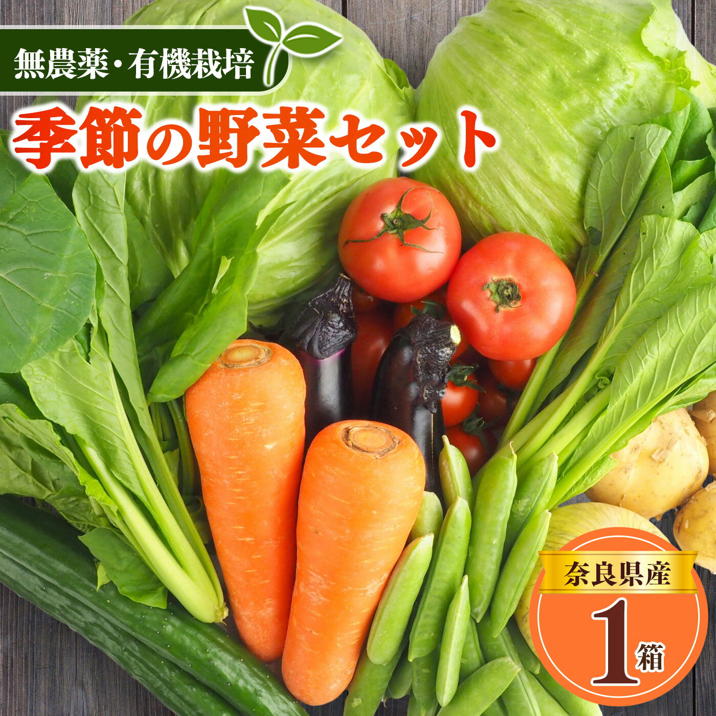 生命の農法( 無化学農薬 ・ 無化学肥料栽培 ) 季節の野菜 セット 詰め合わせ 奈良県 五條市