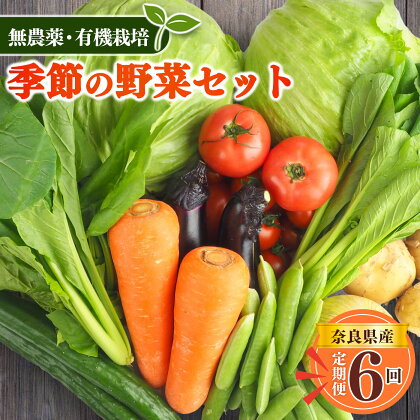 【 定期便 6回 】 生命の農法（ 無化学農薬 ・ 無化学肥料栽培 ） 季節の野菜 セット 詰め合わせ 奈良県 五條市