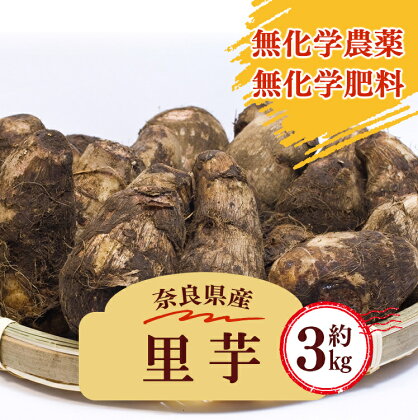 生命の農法 （ 無化学農薬 ・ 無化学肥料栽培 ） 里芋 （約 3kg ）| 野菜 根菜 奈良県 五條市