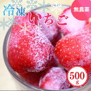 【ふるさと納税】冷凍いちご 約500g (100gx5パック) 奈良県産のいちご