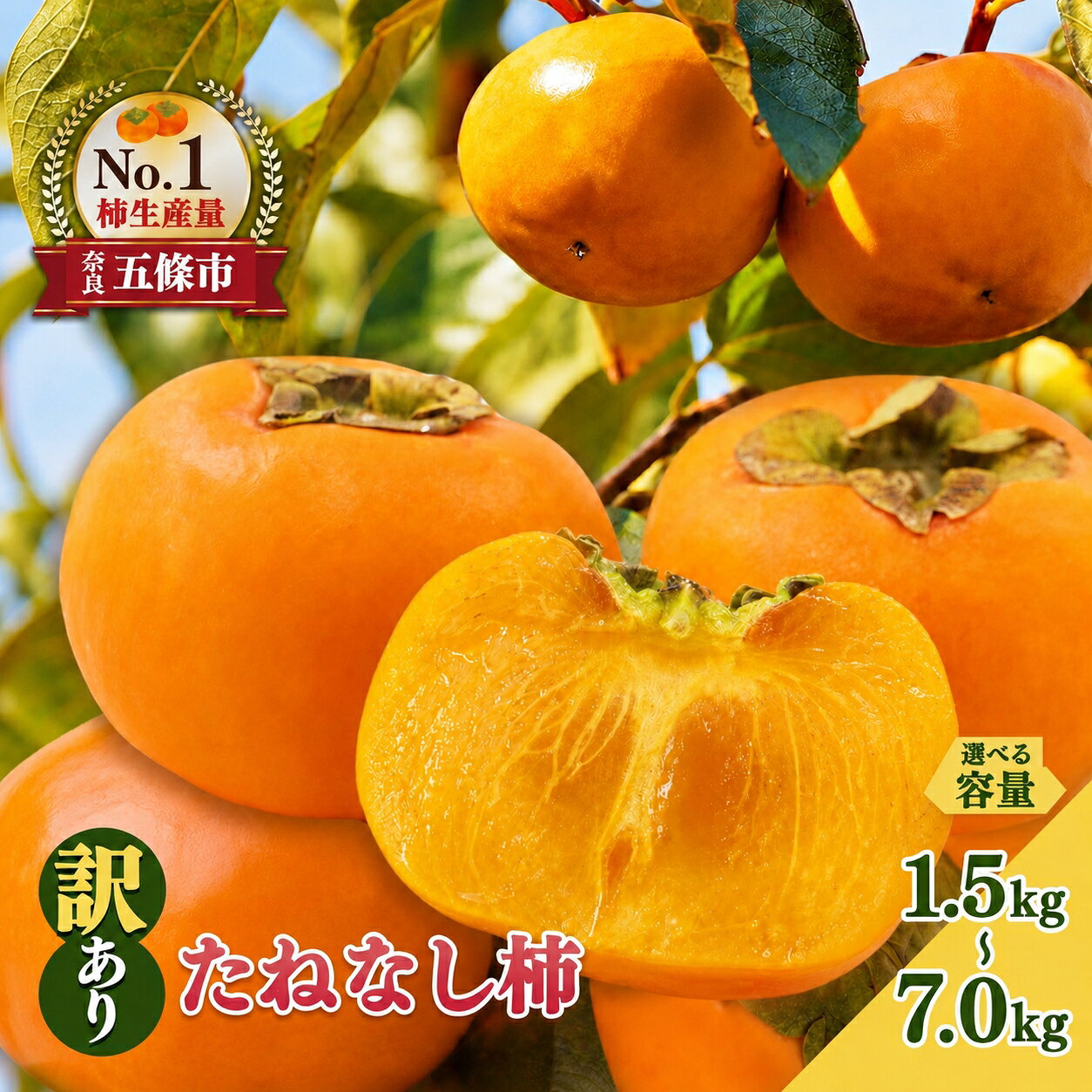 【ふるさと納税】 訳あり たねなし 柿 約 1.5kg ～ 約 7kg | 柿 かき カキ 果物 フルーツ くだもの 訳...