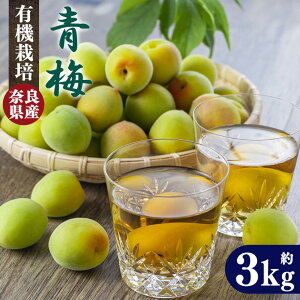【ふるさと納税】有機栽培 青梅 3kg(ジュース・梅酒・酵素用)| 果実 かじつ カジツ 梅 うめ ウメ 酒 奈良県 五條市
