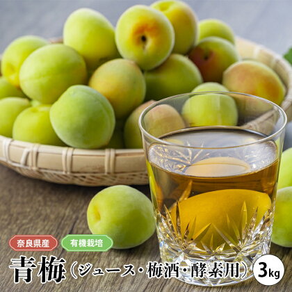 有機栽培　青梅 3kg（ジュース・梅酒・酵素用）