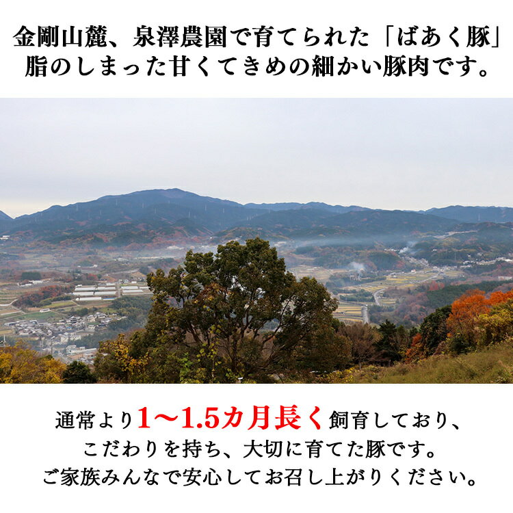 【ふるさと納税】ばあく豚 しゃぶしゃぶ セット 奈良県金剛山麓 肉 お肉 五條市 手作り 無添加