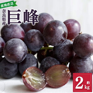 【ふるさと納税】奈良県産 巨峰 約 2kg | フルーツ くだもの 果物 ぶどう ブドウ 葡萄 奈良県 五條市