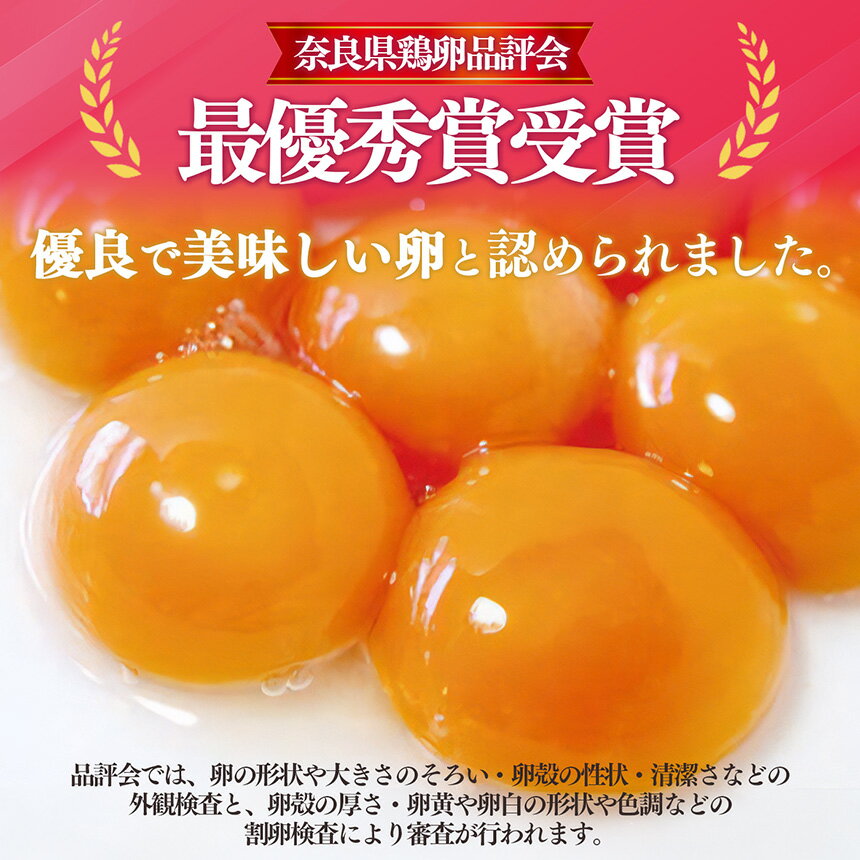 【ふるさと納税】さかもと養鶏の白鳳卵 ： 50個入り 奈良県産 卵 たまご 玉子 奈良県 五條市 生卵