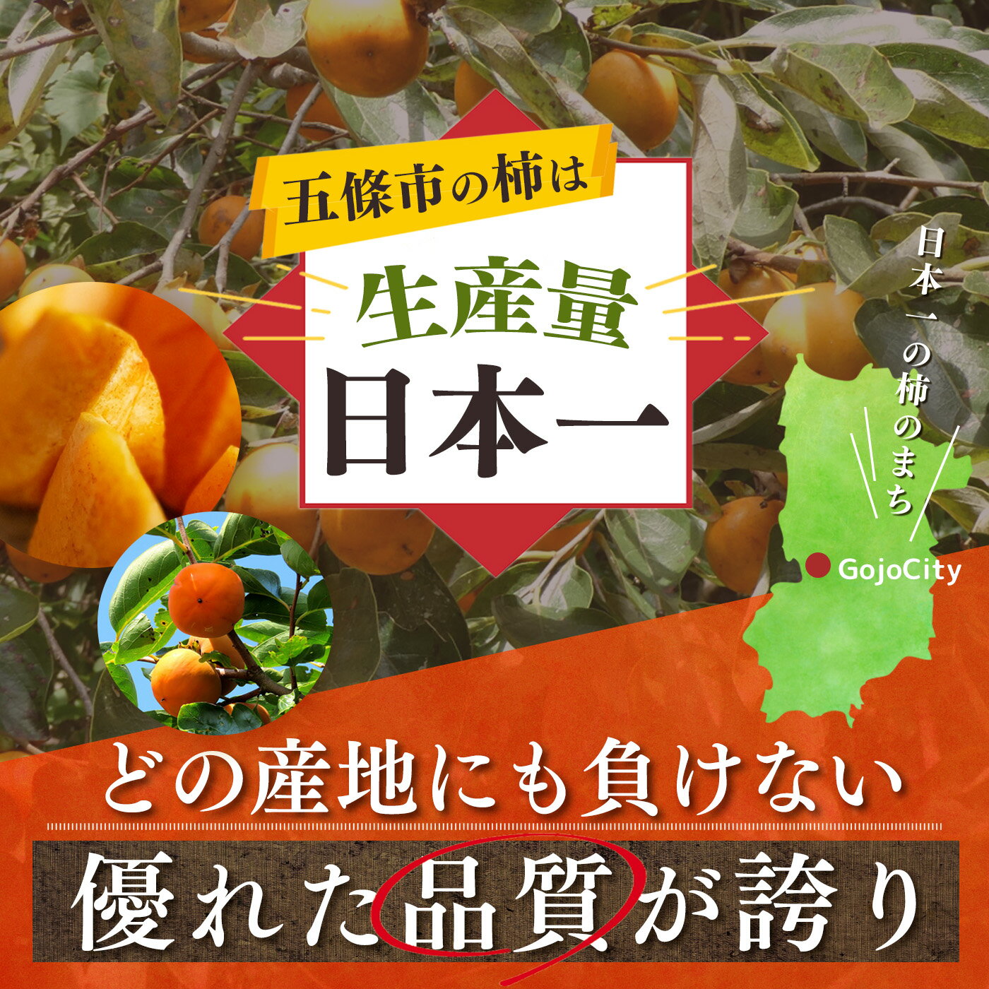 【ふるさと納税】【先行予約・2024年度発送分】［本場の柿］奈良・西吉野の富有柿24玉入り（2Lサイズ） 柿 くだもの 果物 フルーツ 五條市