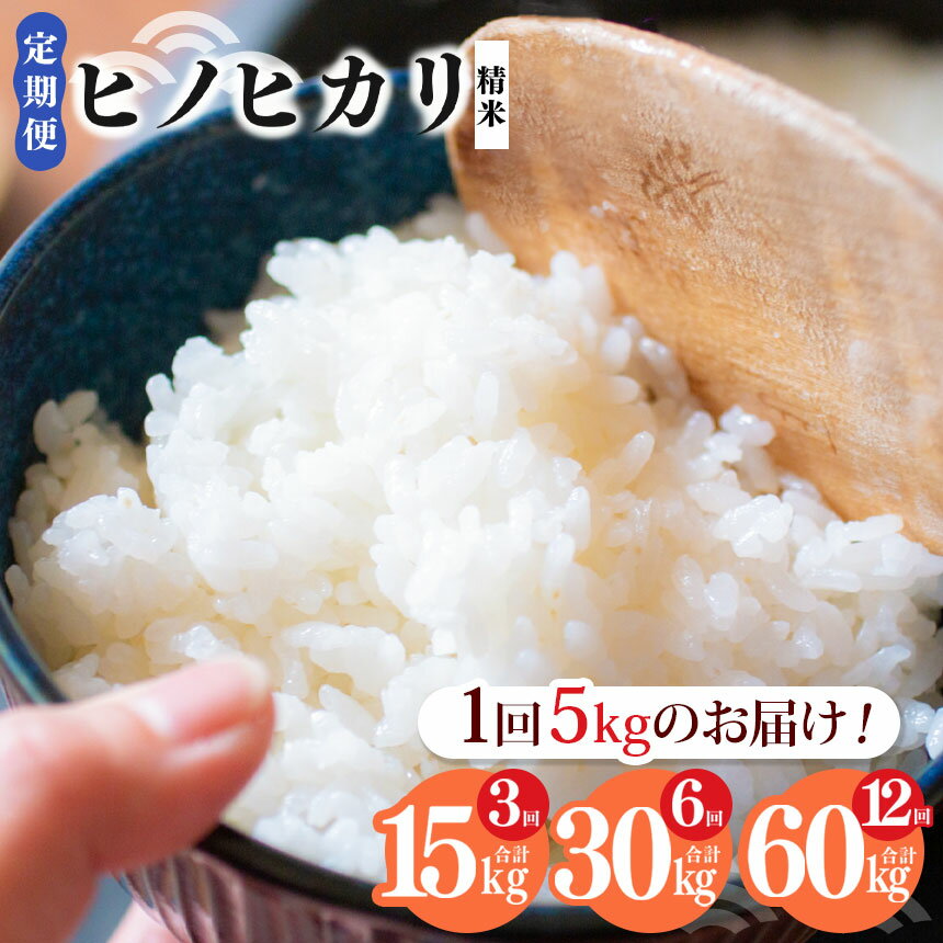 【ふるさと納税】【定期便】選べる3回・6回・12回 奈良県産 ヒノヒカリ 精米 5kg 米 もちもち 奈良県 五條市