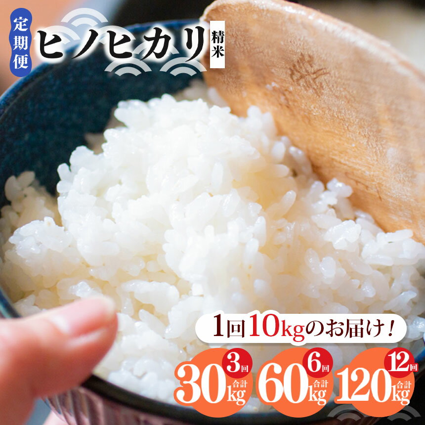 4位! 口コミ数「0件」評価「0」【定期便】選べる 3回・6回・12回奈良県産 ヒノヒカリ 精米 10kg 米 もちもち 奈良県 五條市