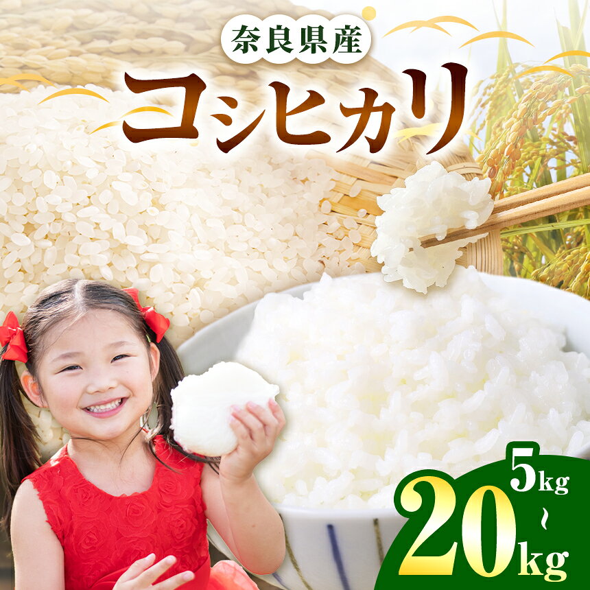 [選べる内容量]奈良県産 コシヒカリ 精米 | 白米 米 お米 こめ コメ ライス ご飯 ごはん 新米 コシヒカリ おいしい 美味しい 粘り 甘味 贈り物 安心 安全 特産品 仕送り 全農パールライス株式会社 奈良支店 奈良県 五條市