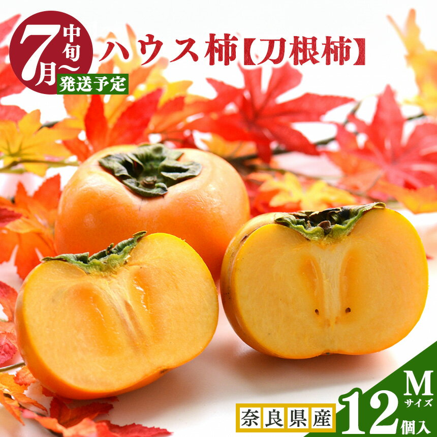 ハウス柿( Mサイズ 12個入 )| フルーツ 果物 くだもの 柿 刀根柿 ハウス 奈良県 五條市 JA