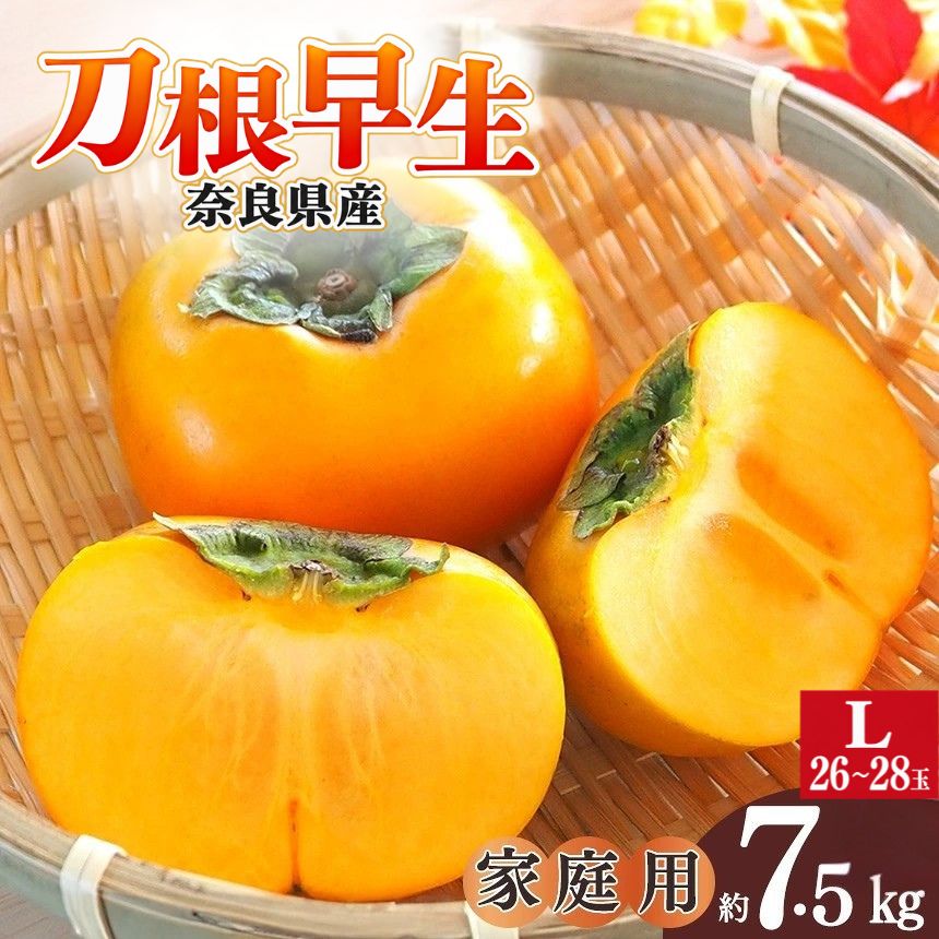 【ふるさと納税】 柿 たねなし刀根早生 家庭用 約7.5キロ ダンボール箱入り L 26～28玉 | フルーツ くだもの 果物 柿 かき カキ 刀根早生 奈良県 五條市 坂口農園