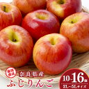 【ふるさと納税】 ふじりんご 10個~16個 2L~5Lサイズ |フルーツ くだもの 果物 りんご 林檎 リンゴ ふじりんご 奈良県 五條市