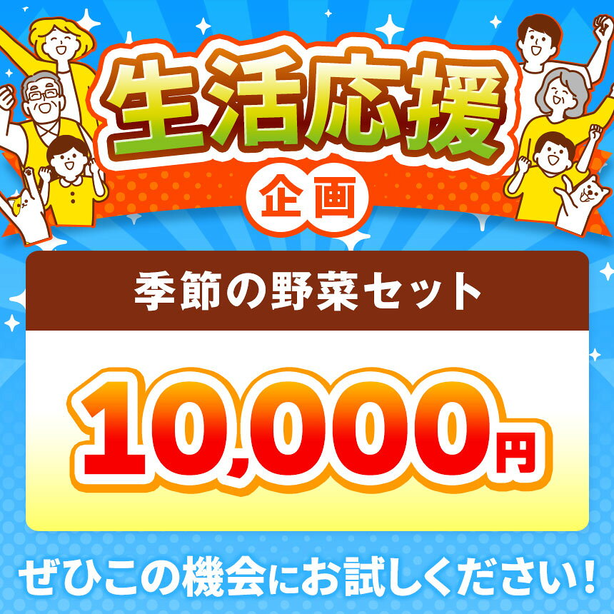 【ふるさと納税】 定期便 アリ！ 生命の農法（ 無化学農薬 ・ 無化学肥料栽培 ） 季節の野菜 セット | ヤサイ 野菜 やさい 詰め合わせ 奈良県 五條市