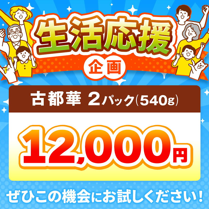 【ふるさと納税】 いちご 奈良県産ブランド「 古都華 （ ことか ）」 2パック （ 約540g ） 4パック （ 約1080g 以上 ）| フルーツ くだもの 果物 いちご イチゴ ことか コトカ 古都華 奈良県 五條市