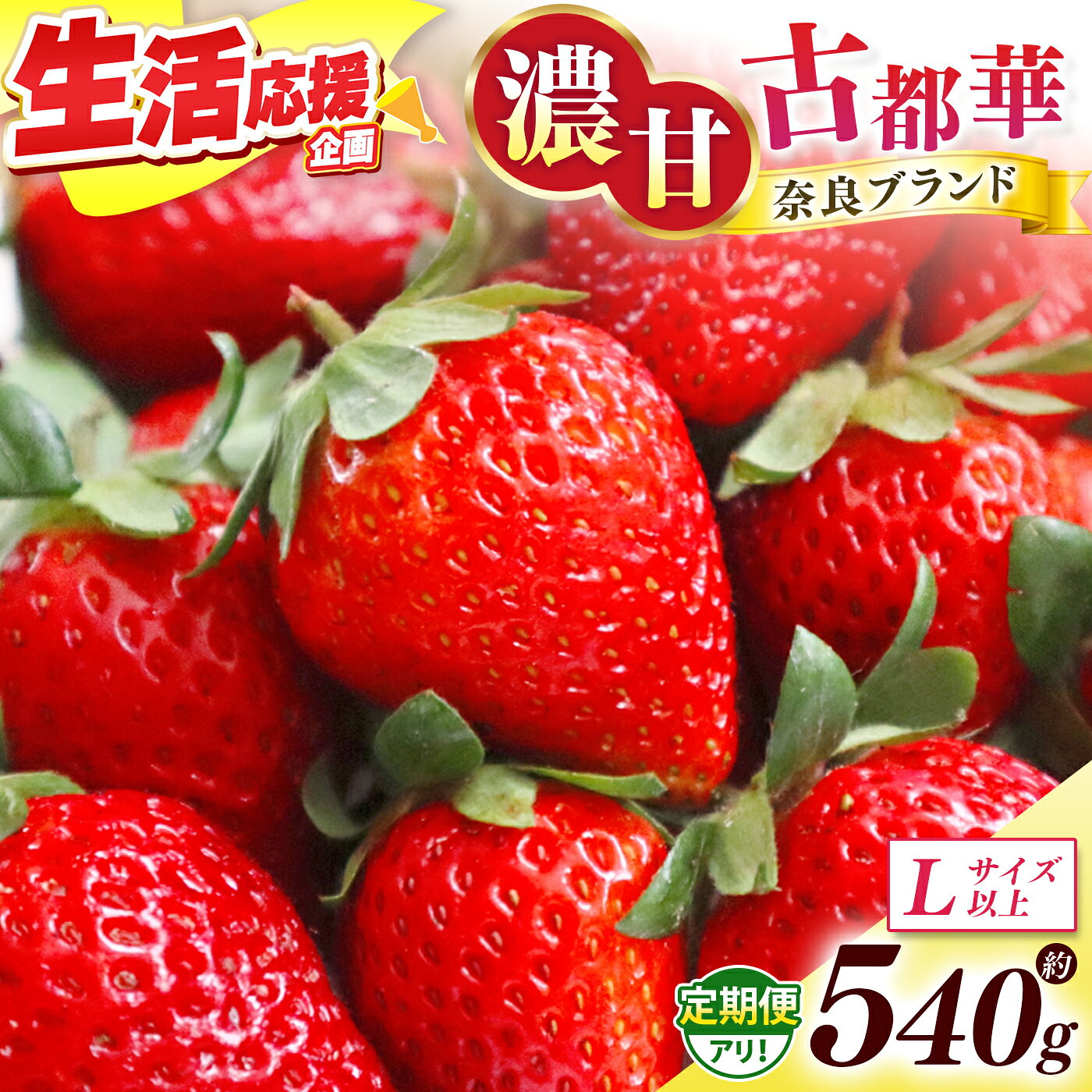 【ふるさと納税】【 定期便 2回 】いちご 古都華 約540g （270g×2P）Lサイズ以上 | 先行予約 フルーツ くだもの 果物 イチゴ ことか コトカ 古都華 苺 果実 新鮮 ブランド苺 ストロベリー 冷蔵 希少 逸品 品種 旬 2月 産地直送 農家直送 送料無料 西岡農園 奈良県 五條市