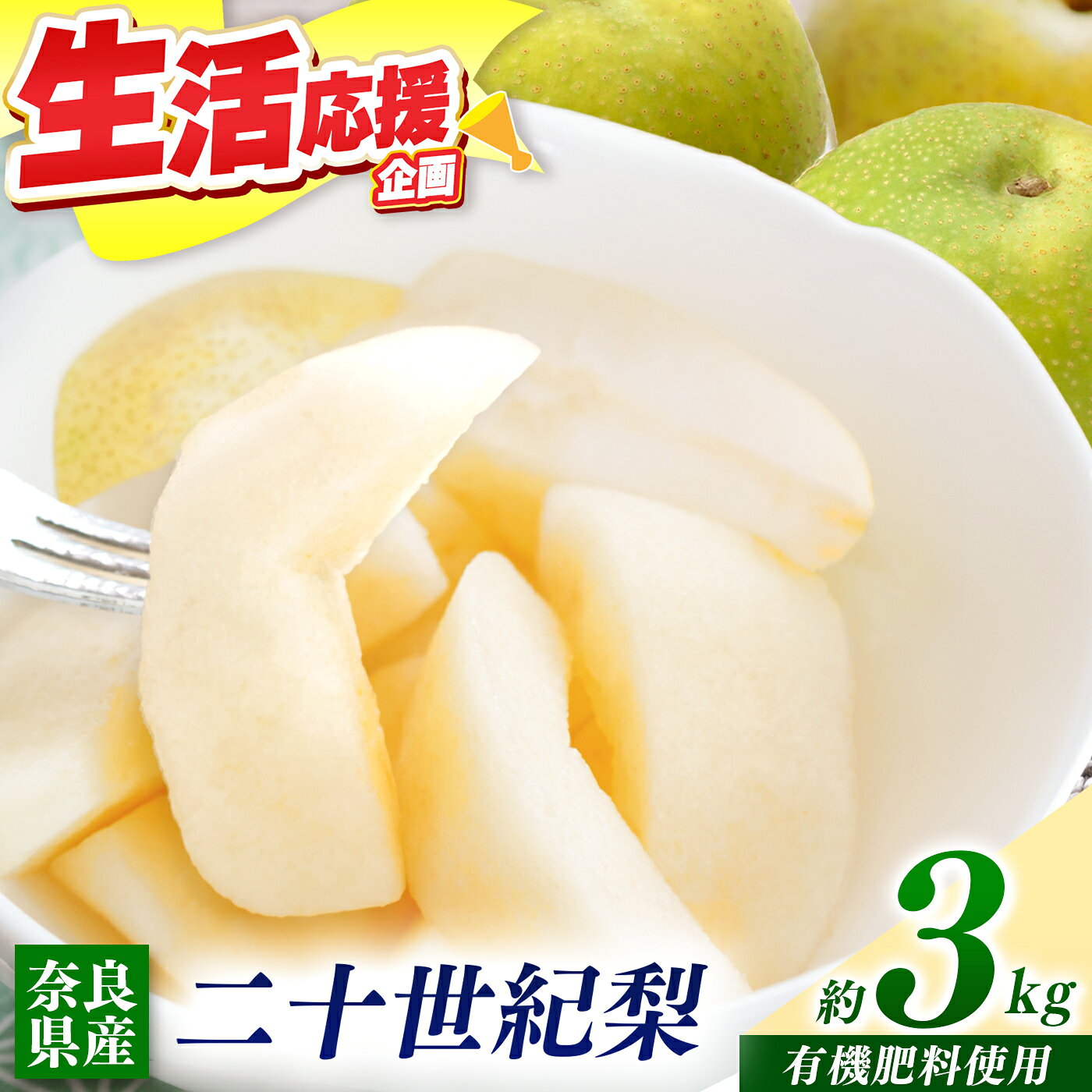 【ふるさと納税】 梨 二十世紀梨 3kg | フルーツ 果物 くだもの 梨 なしナシ 奈良県 五條市 ※2026年 9月上旬頃から順次発送予定