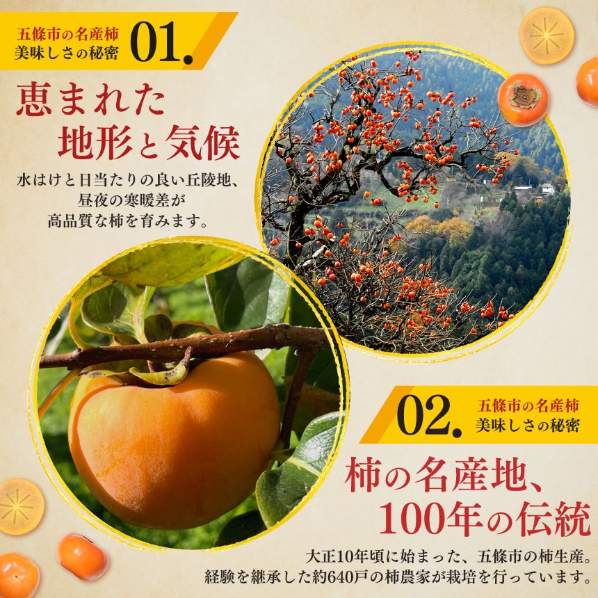 【ふるさと納税】たねなし刀根早生 家庭用 良品 3.5キロ ダンボール箱入り M~L 16~20玉 | フルーツ くだもの 果物 柿 かき カキ 贈答用 奈良県 五條市 坂口農園 f292079-gojo-10000793 奈良県五條市 サンプル画像3