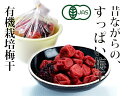【ふるさと納税】JAS有機むかし梅干たっぷり1kgポリ樽ギフト箱 農悠舎の厳選素材