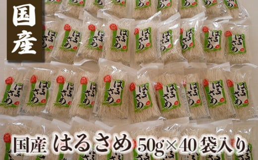 【ふるさと納税】国産はるさめ 50g 40袋入り ／ 金正食品 春雨 無添加 個包装 特産品 奈良県 御所市