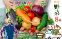 【ふるさと納税】【冷蔵】(定期便)(水曜日発送)季節のこだわり野菜セット 年3回 / 奥野ファーム大和 季節野菜 有機肥料 奈良県 御所市