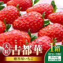 【ふるさと納税】【2026年1月上旬~2月下旬発送】贈答用いちご【数量限定】『古都華』 いちご 数量限定 古都華 12~15粒 化粧箱 国産 国産苺 ストロベリー 果物 果実的野菜 フルーツ デザート おやつ 糖度 濃厚 鮮やか 甘い ビタミン 奈良県産 お取り寄せ 贈答用 送料無料
