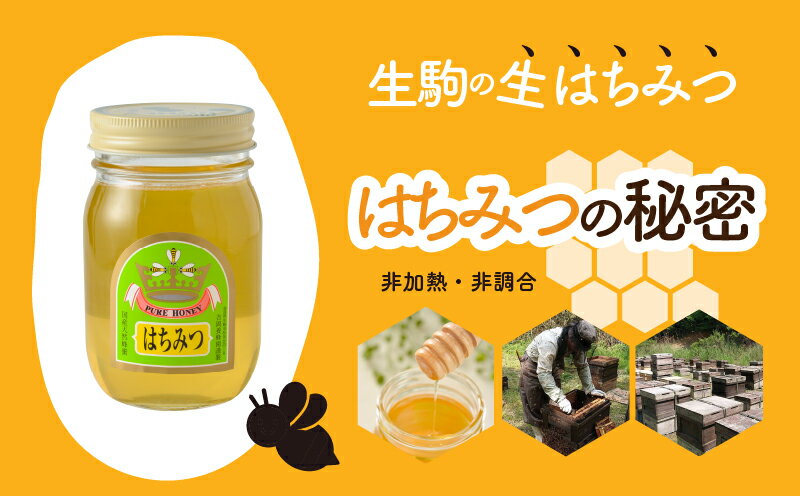 奈良県生駒市の画像3