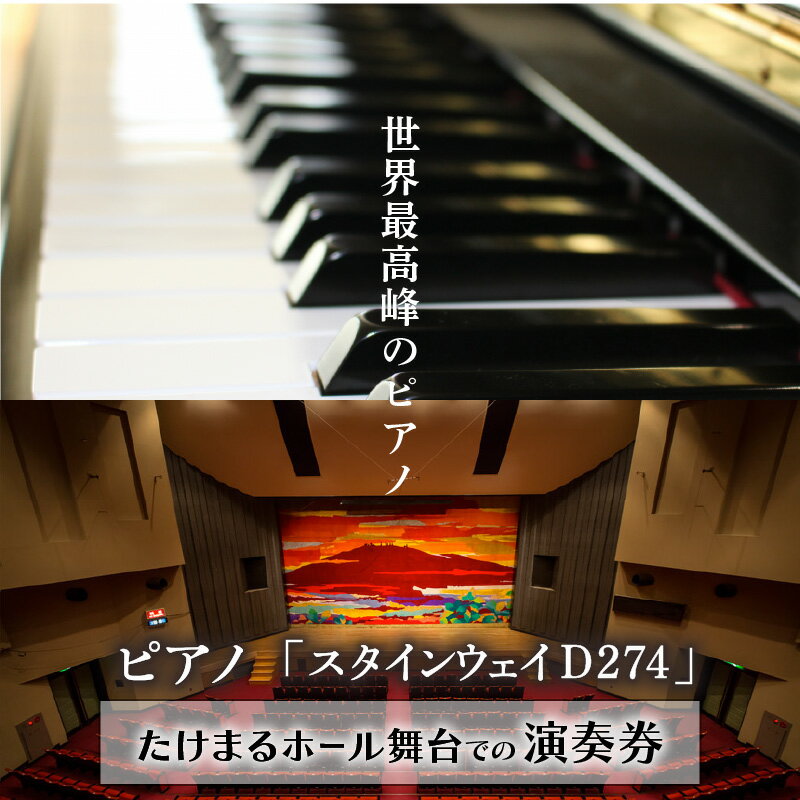 演奏券 ピアノ スタインウェイD274 たけまるホール 舞台 チケット ピアノ演奏 ピアノ演奏体験 ホール 大ホール 音楽 体験 体験チケット 体感 1コマ演奏 事前予約 グランドピアノ 送料無料