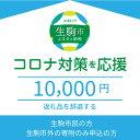 【ふるさと納税】コロナ対策を応援（返礼品なし)　1万円　寄附のみ申込みの方　056-003