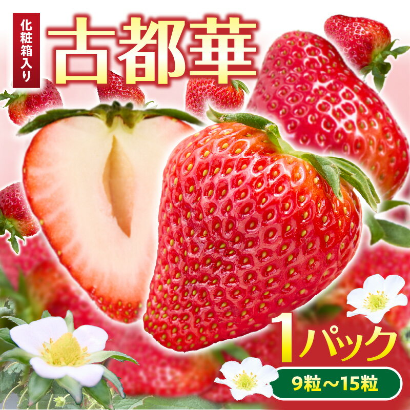 [2026年1月〜3月上旬発送]「古都華」化粧箱入りいちご 甘みと酸味のバランスが抜群 古都華 いちご 1パック 9~15粒 化粧箱 生駒いちご園 果物 フルーツ デザート 贈り物 お取り寄せ お取り寄せフルーツ 奈良県 生駒市 送料無料