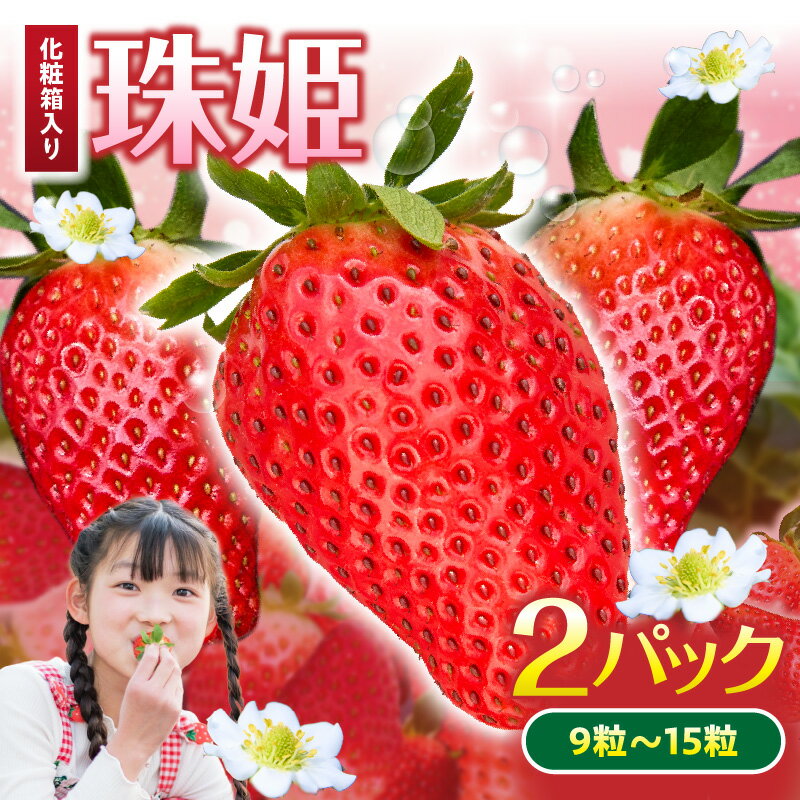 [2026年1月〜3月上旬発送]化粧箱入りいちご[珠姫] 酸味が少なくやさしい甘み 珠姫 いちご 2パック 9~15粒 化粧箱 卵型 粒が大きい 生駒いちご園 果物 フルーツ デザート 贈り物 お取り寄せ お取り寄せフルーツ 奈良県 生駒市 送料無料