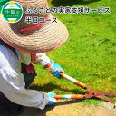 【ふるさと納税】ふるさとの実家支援サービス半日コース 【ふるさと納税】ふるさとの実家支援サービス半日コース
