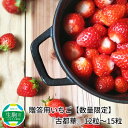 【ふるさと納税】贈答用いちご【数量限定】『古都華』12粒〜1